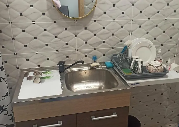 Old House アパート カウナス