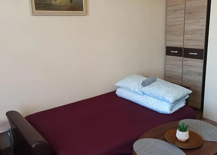 アパート Old House カウナス